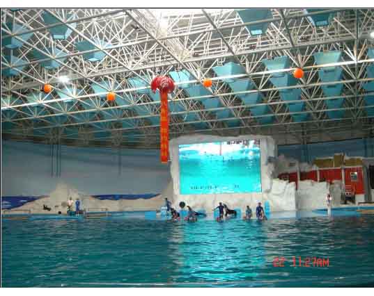 金坛游泳馆螺栓球网架